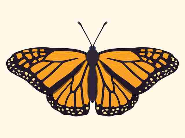 刷屏·黑料不打烊运营黑科技·51招